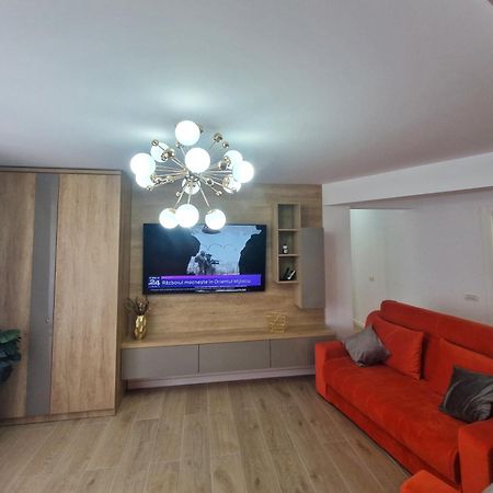 Ultracentral Luxury Apartament Curtea de Argeş 外观 照片